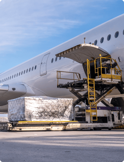 Heat Treated Pallets Loading in Cargo Airplane