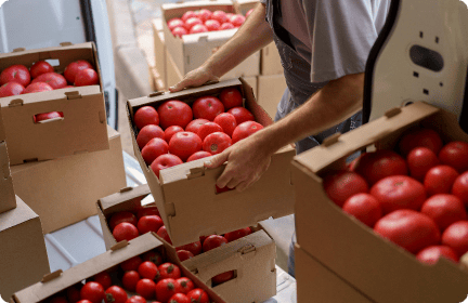 Heat-treated pallets for Agriculture